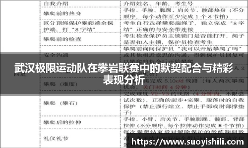 武汉极限运动队在攀岩联赛中的默契配合与精彩表现分析