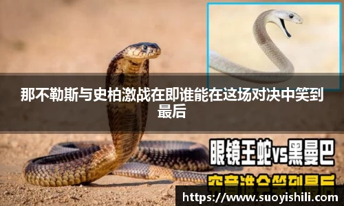 凤凰联盟